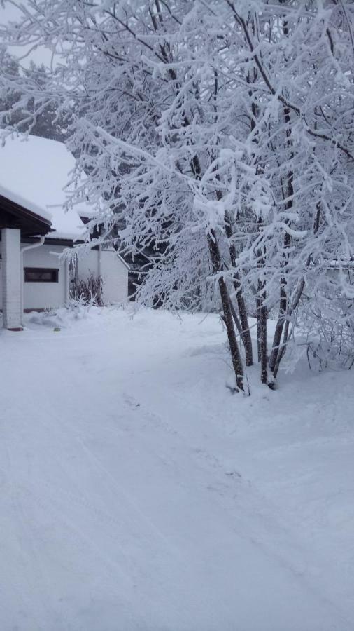 The House Near Santa Park Villa Rovaniemi Dış mekan fotoğraf