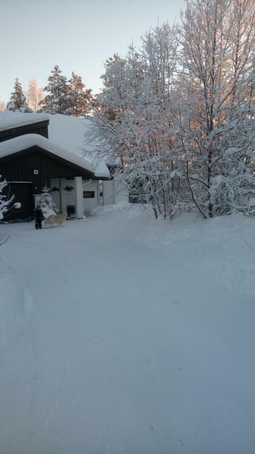 The House Near Santa Park Villa Rovaniemi Dış mekan fotoğraf